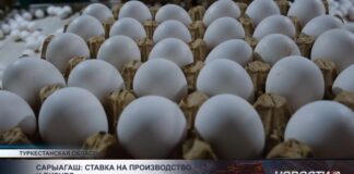 В Сарыагашском районе развивается промышленное производство