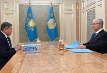 Токаев принял министра науки и высшего образования