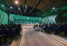 В Казахстане выросла популяция снежного барса и сайгаков