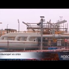 Эксперты обсуждают решение ОАЭ выйти из ОПЕК и ОПЕК+