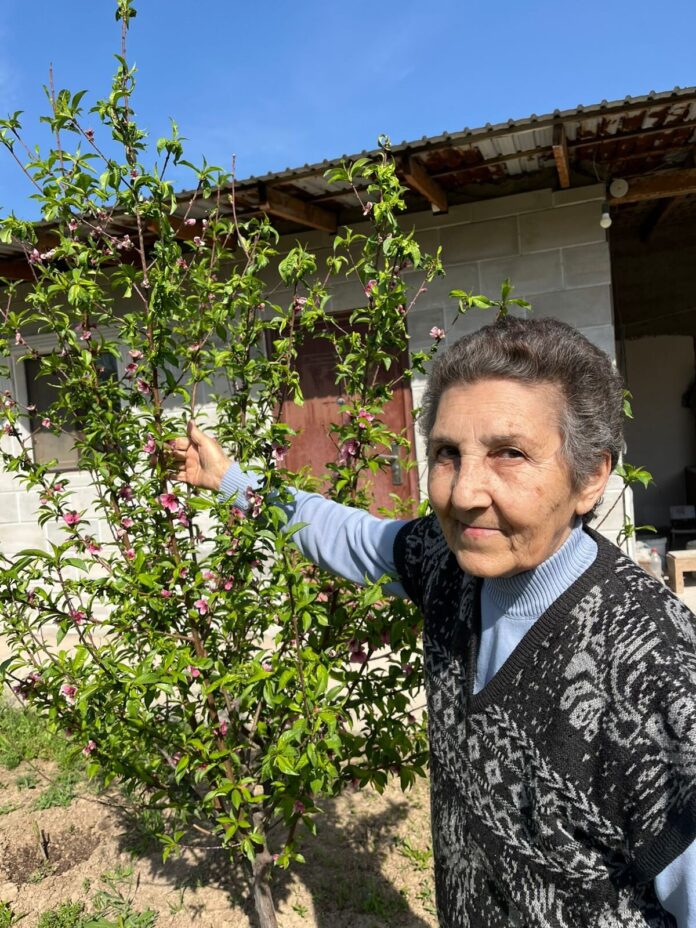 Опытная дачница Роза Малыхина