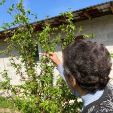 Земля, пот и цветы: дачные секреты Опытная дачница Роза Малыхина
