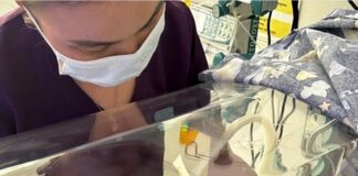 Врачи Шымкента выходили младенца весом 685 граммов