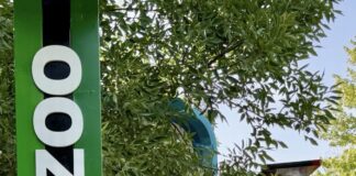 Прогулка по оазису живой природы