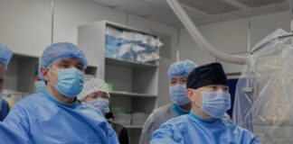 В Шымкенте прошёл международный мастер-класс с участием немецких врачей