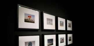 Казахстан представил проект «Qoñyr: Архив тишины» в Венеции