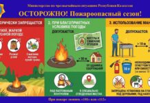 МЧС напомнило правила использования мангалов и разведения костров