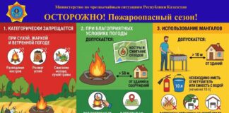 МЧС напомнило правила использования мангалов и разведения костров