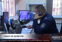Кража сигарет на 800 миллионов