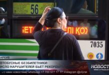 Автобусные безбилетники: число нарушителей бьет рекорды