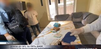 Доход до 50% за пять дней обещали вкладчикам финпирамиды