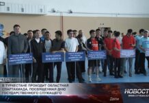 В Туркестане проходит областная спартакиада ко Дню госслужащего