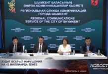 В Шымкенте выявили нарушения на миллиарды