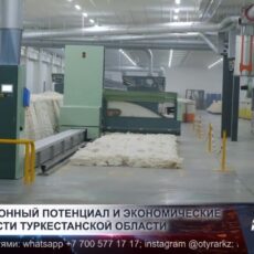 Инвестиционный потенциал и экономические возможности Туркестанской области