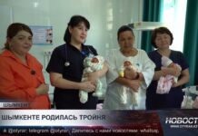 В Шымкенте врачи выходили тройню, родившуюся на 32-й неделе