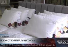Искусство идеального сна