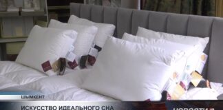 Искусство идеального сна