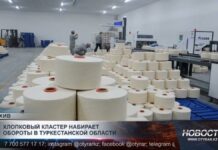 Хлопковый кластер набирает обороты в Туркестанской области