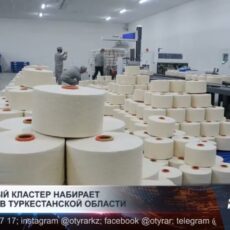 Хлопковый кластер набирает обороты в Туркестанской области
