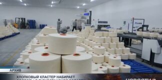 Хлопковый кластер набирает обороты в Туркестанской области