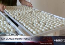 Сайрамский район закрепил за собой статус главного индустриального центра Туркестанской области