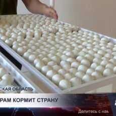 Сайрамский район закрепил за собой статус главного индустриального центра Туркестанской области