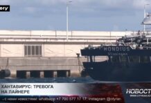 Хантавирус на круизном судне: заболевших выявили сразу в нескольких странах
