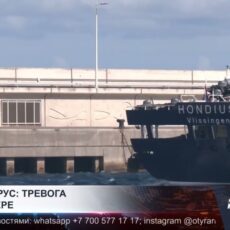 Хантавирус на круизном судне: заболевших выявили сразу в нескольких странах