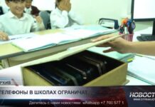 Депутаты предлагают сократить использование телефонов в школах Казахстана