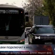 В Казахстане водителей с медицинскими противопоказаниями будут автоматически лишать прав