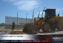 В Шымкенте создают зелёный оазис на месте свалки