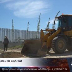 В Шымкенте создают зелёный оазис на месте свалки