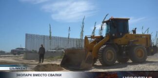 В Шымкенте создают зелёный оазис на месте свалки