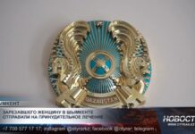Зарезавшего женщину в Шымкенте отправили на принудительное лечение