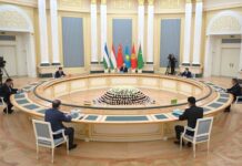 Токаев призвал усилить обмен информацией между МВД стран региона