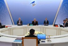 Глава государства принял участие в заседании Высшего Евразийского экономического совета в узком составе