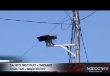 В Шымкенте камеры с ИИ начали автоматически фиксировать нарушения ПДД