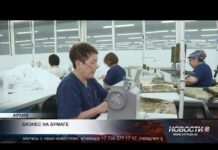 Больше половины казахстанского бизнеса не ведут реальной деятельности