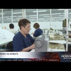 Больше половины казахстанского бизнеса не ведут реальной деятельности