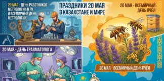 Какие памятные даты отмечают 20 мая