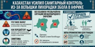 Казахстанцам рекомендовали отказаться от поездок в страны со вспышкой Эболы