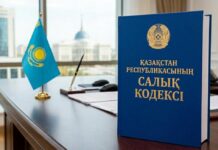 В Казахстане планируют обновить налоговый кодекс по новой конституционной модели