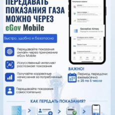 Показания потребленного газа можно передавать через eGov Mobile