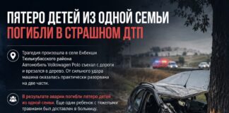 Пятеро детей из одной семьи погибли в ДТП в Туркестанской области