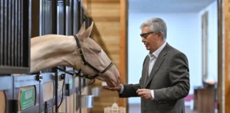 Акжан — «Чистая душа» — бренд Великой степи