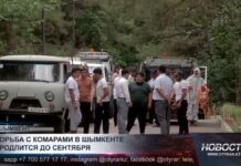 Борьба с комарами в Шымкенте: обработка продлится до сентября