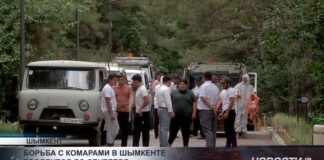 Борьба с комарами в Шымкенте: обработка продлится до сентября