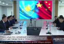 Миллион алых роз: китайская компания планирует заняться цветоводством в Туркестанской области
