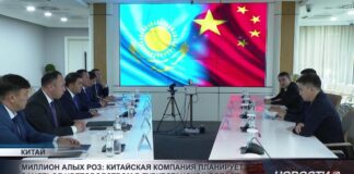 Миллион алых роз: китайская компания планирует заняться цветоводством в Туркестанской области