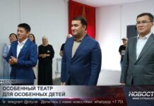 Особенный театр для особенных детей